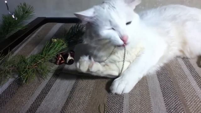 Мой флегматик =3 смотреть онлайн