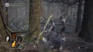 DARK SOULS 3 Орбек из Винхейма(Orbek from Winheim)