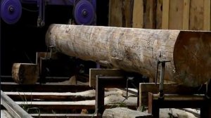 Ленточная пилорама на 220 (процес работы)