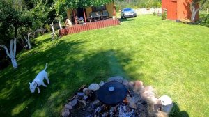 IŠRŪKĖM ŽUVYTE KAZANE ,O VAKARIENEI KARKA POMIDORU SULTYSE