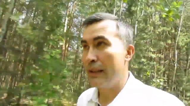 Банкротство юридических лиц [Академия торгов по банкротству]