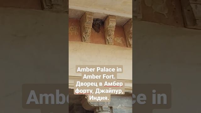 Дворец Амбер Форт Джайпур, Индия. Amber Palace Fort, Jaipur, India. #India #Jaipur #amberfort #ambe