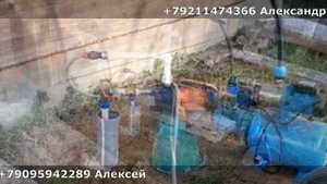 Деревня Городище Вологодская область Череповецкий район