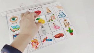 Игра на липучках "Альбом 2+. Часть 1" | Детское лото на липучках | Развивающие игры