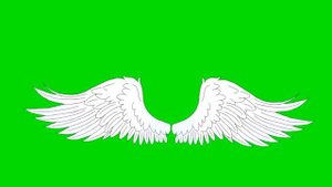 Анимация крыльев(ангел)