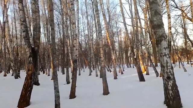 "Спит природа".Авторская песня. Елена Жукова #Авторскаяпесня #ЗимнийЛес #СпитПрирода #ЕленаЖукова смотреть онлайн