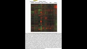 Общие представления о генетическом контроле
