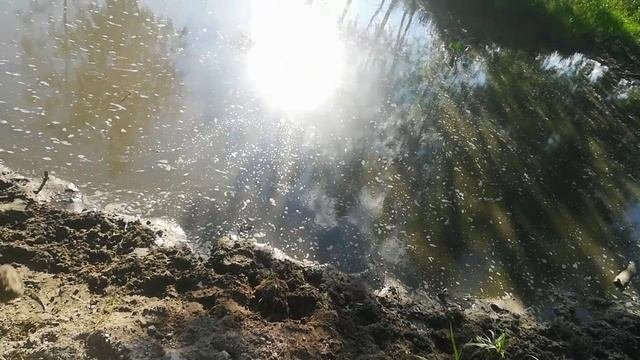 Мы на магнитной рыбалке