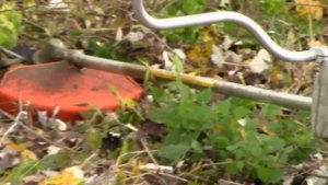 Stihl FS 350 cutting reeds