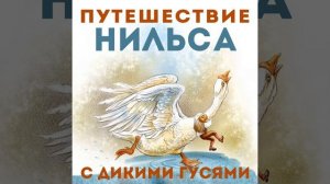 Нильс уменьшается в размерах