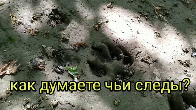 Почему рыба не клюёт? Особенности рыбалки! смотреть онлайн