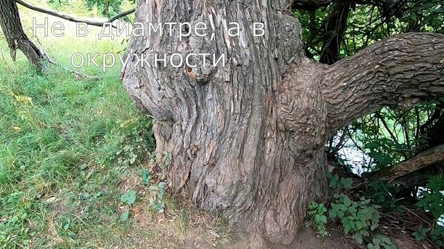 Вело экскурсия на Голубые озера, Казань.