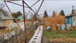 Виноград в Омске. Сезон 2020. Укрытие на зиму