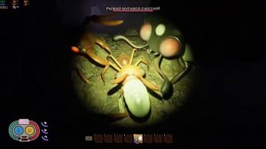 ГДЕ НАЙТИ ЯЙЦО РЫЖЕГО МУРАВЬЯ GROUNDED