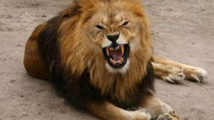 Подайте шапку и пальто...