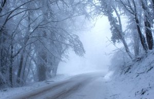 Стихотворение: "БЕЛОСНЕЖНОСТЬ". Читает автор — Елена Артёменко. Запись: январь, 2022 года.