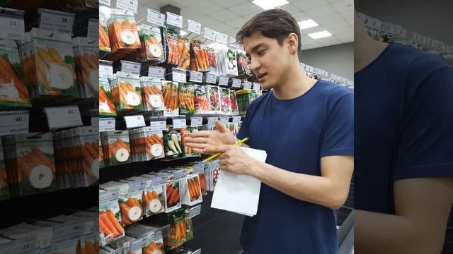 Почему морковь идёт в стрелку?