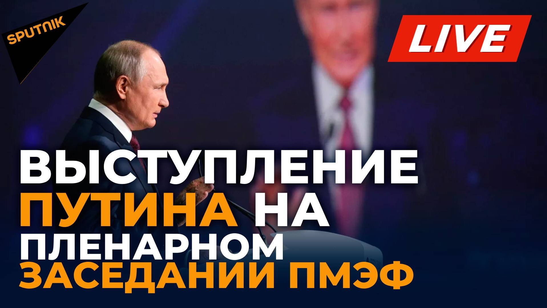 Выступление Путина на пленарном заседании ПМЭФ