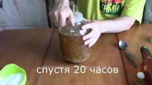 Овсяный квас / Газированный квас из овса