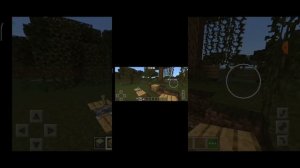 Как сделать X RAY без модов в майнкрафт.