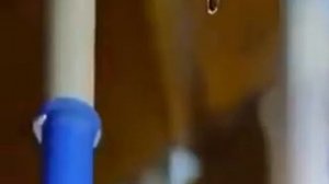 Как делают воздушные шарики (принцип производства), и как на них наносят рисунки и надписи