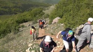 Гимн пятой точке