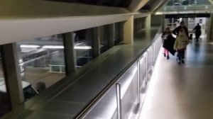 Встречаем Алену из Африки. Аэропорт, Вика за рулём. В гостях у брата. Семья Савченко