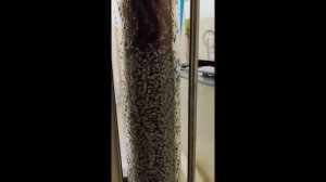 Холодильник димрот и кожухотрубник