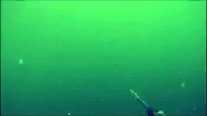 Подводная охота в Красноярском море