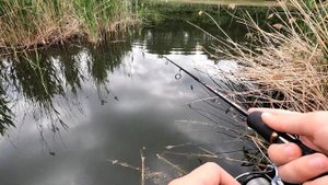 Рыбалка на краснопёрку...!!!ВЕСНОЙ 2023