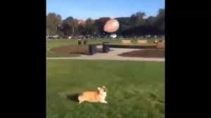 МАТЕРНЫЕ РУССКИЕ ПРИКОЛЫ ДЛЯ ВЗРОСЛЫХ 18    Ржака подборка для мужиков! Приколы за ДЕКАБРЬ 2016