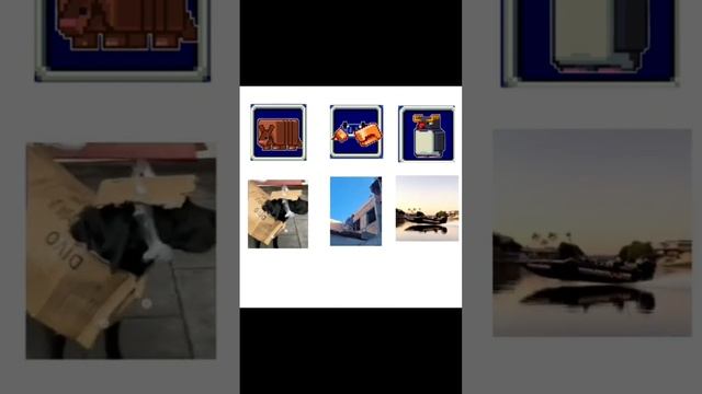 #мем #майн #мемчик #майнкрафт #сигма #броненосиц #краб #пингвин смотреть онлайн