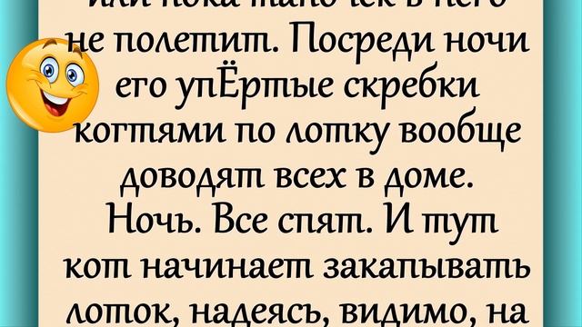 "У меня кот слишком настырный!.." Юмор! Анекдот! смотреть онлайн