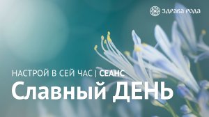 Славный день. Оздоровительный сеанс Здравы РОДА.