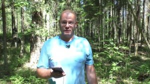 Шекспир. Сонет № 9