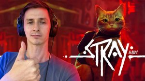 Stray Mr. Cat Первый взгляд.