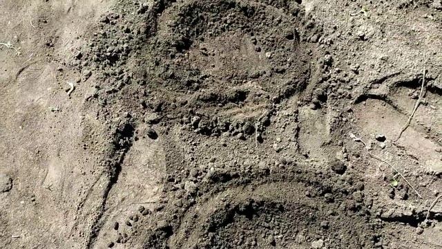 Посадка семян кабачков в открытый грунт.Дачный вредитель. смотреть онлайн