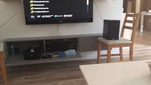 Elac bs 203 speaker clean sound