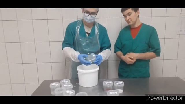 Salat tayyorlashni turlari смотреть онлайн