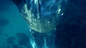 Человек-амфибия