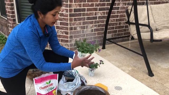 How to Create a Hanging Flower BasketEasy hanging Basket Guide