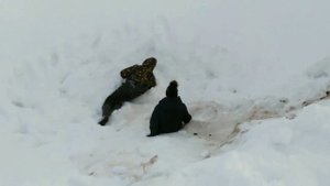 Учимся делать сальто. Как делать сальто?#СекретыСальто