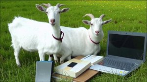 РАССКАЗ "НОВЫЙ ДРУГ"