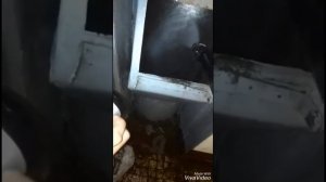 Очистка мусорокамер и стволов мусоропровода