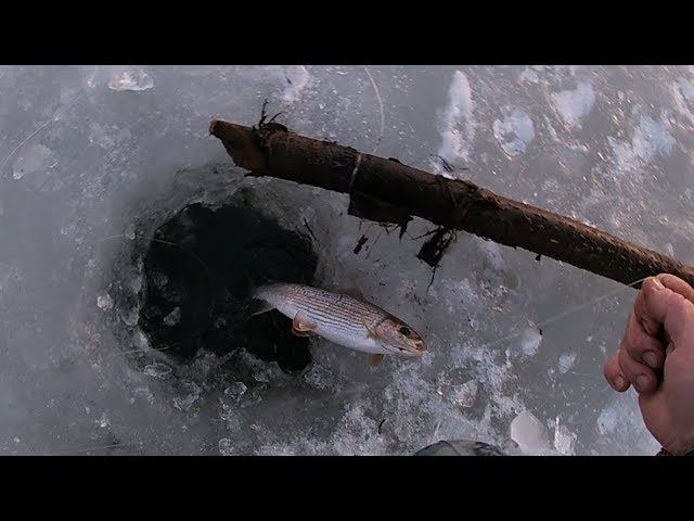 ПРОВЕРКА ПРОДОЛЬНИКОВ \ 13.04.19