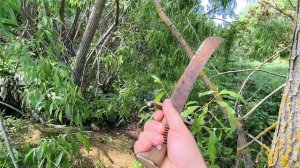 От первого лица))