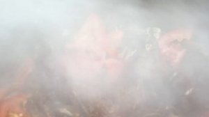 Лесная кухня: шулюм на костре в казане