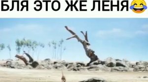 Тимон и Пумба (гоблинский перевод) с матом