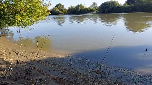 Рыбалка на реке Кубань / Опробовали новые снасти / Результат не радует смотреть онлайн