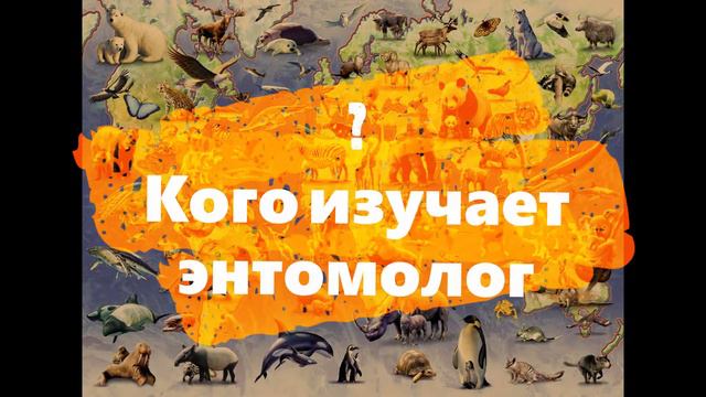 Энтомолог